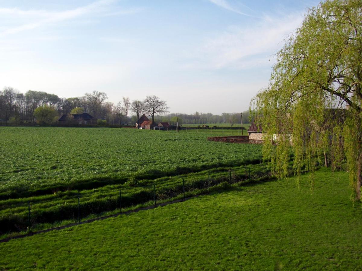 Bed and Breakfast La Belle Idee Nokere Zewnętrze zdjęcie